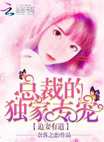 追妻有道:总裁的独家专宠