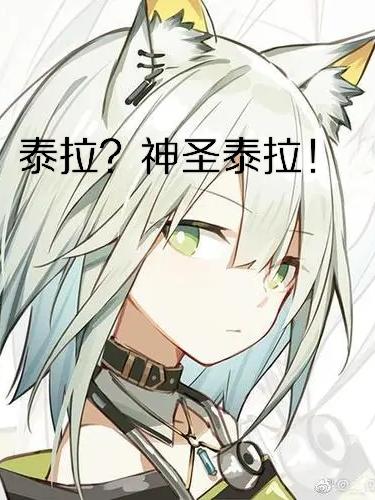 泰拉?神圣泰拉!