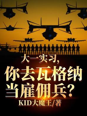 大一实习,你跑去国外当雇佣兵?
