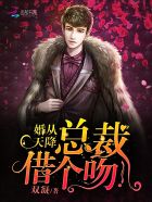 婚从天降:总裁,借个吻!