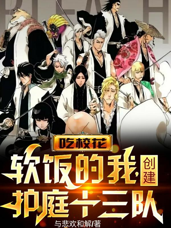 打造护庭十三队,我将立于天上
