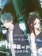 我是什锦区up主!