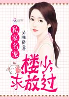 私家名宠:楼少,求放过