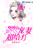 天价闪婚:BOSS宠妻超给力