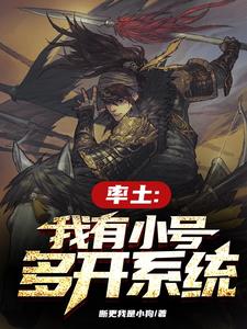 神豪:我在率土三国,氪服一切