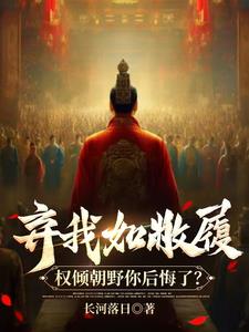 穿越弃子:凡日月所照皆为汉土!