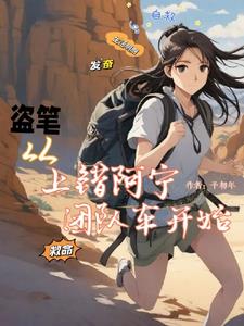 盗笔:入局