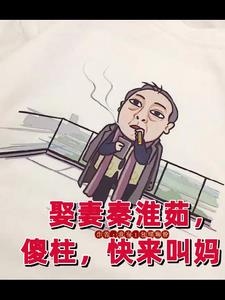 四合院,满院都是我下的崽