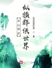 华山师叔,纵横群侠世界