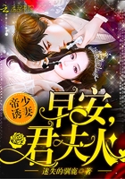 帝少诱妻:早安,君夫人