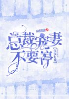 夜夜有戏:总裁宠妻不要停