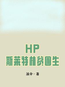 HP:斯莱特林贫困生