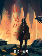 斗罗之唐昊传奇