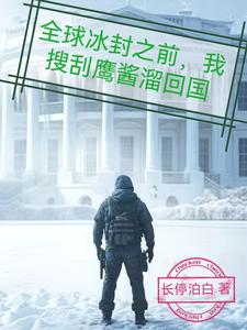重生在鹰酱,抢个军火库不过分吧