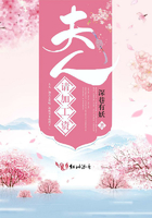 夫人,请加工资
