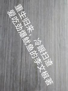 重生归来,冷眼扫渣