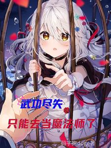 武功尽失,只能去当魔法师了