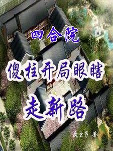 四合院:傻柱眼瞎后人人都在变