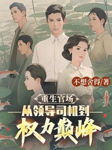 重生官场:从领导司机到权力巅峰