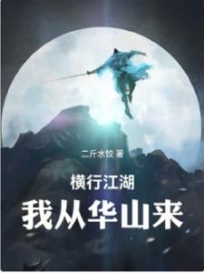 横行江湖:我从华山来