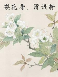 梨花香,清浅折