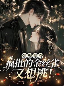 乖软娇妻又逃,疯批日日急红眼!