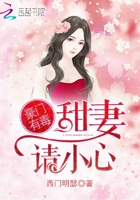 豪门有毒:甜妻,请小心